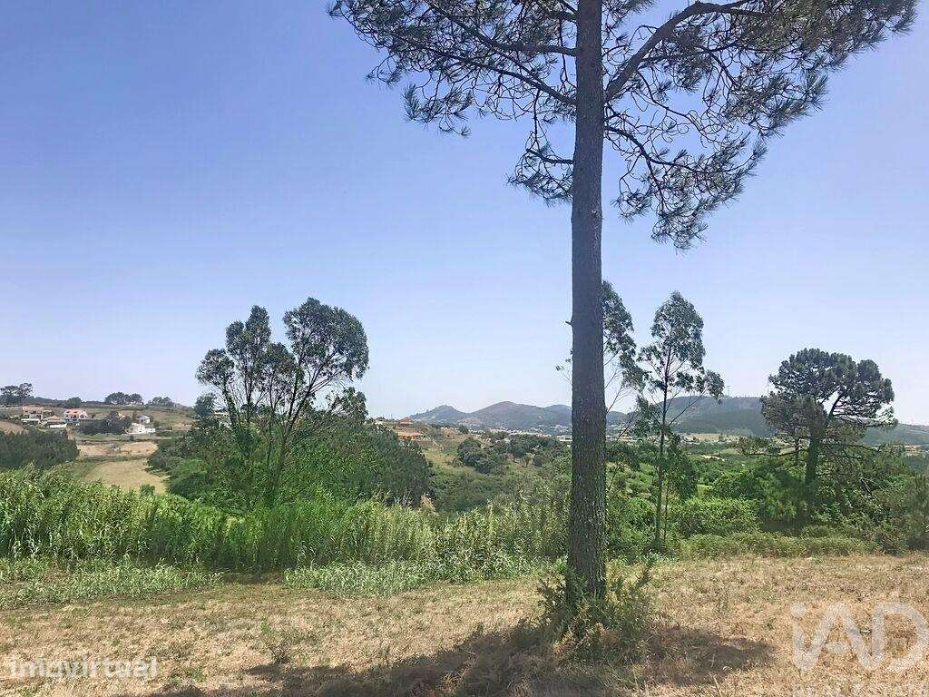 Terreno para construção em Venda do Pinheiro e Santo Estêvão das Galés - Grande imagem: 4/40