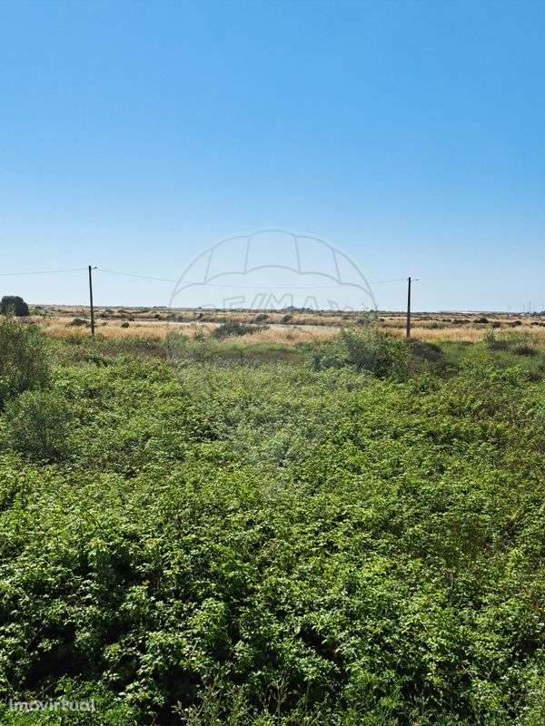 Terreno  para venda - Grande imagem: 3/7