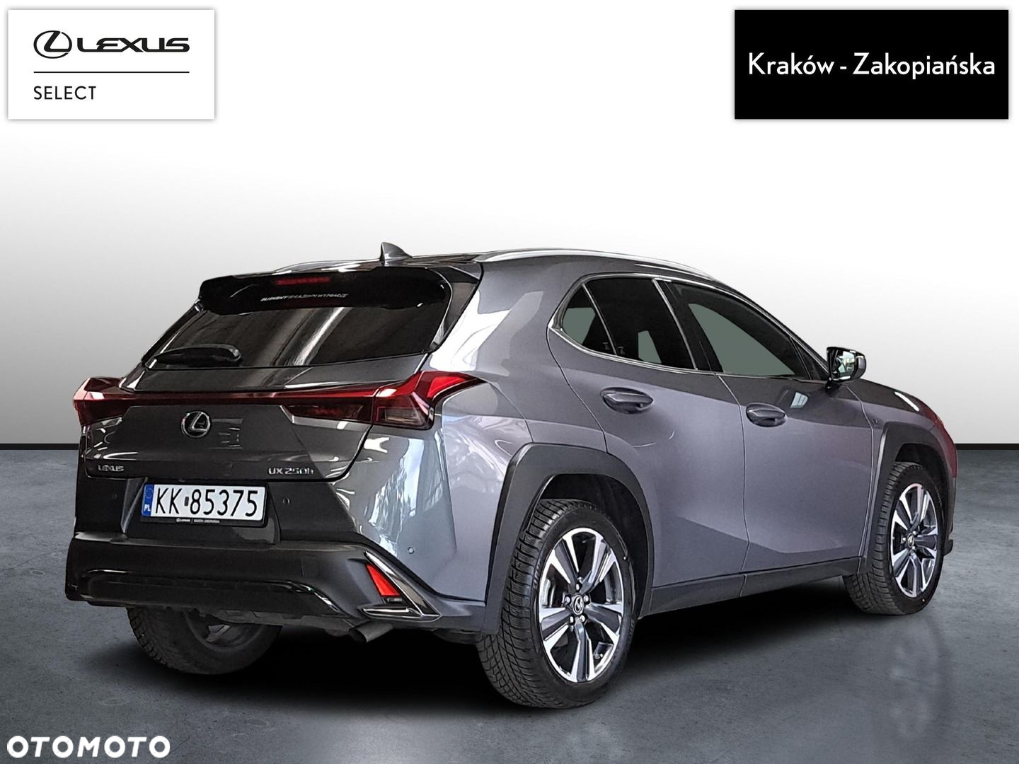 Lexus UX 250h GPF F Sport Design 2WD - 9