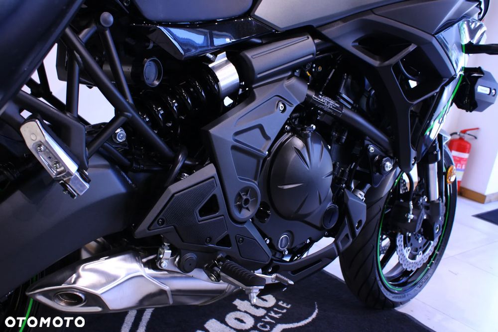 Kawasaki Versys 650 - 24