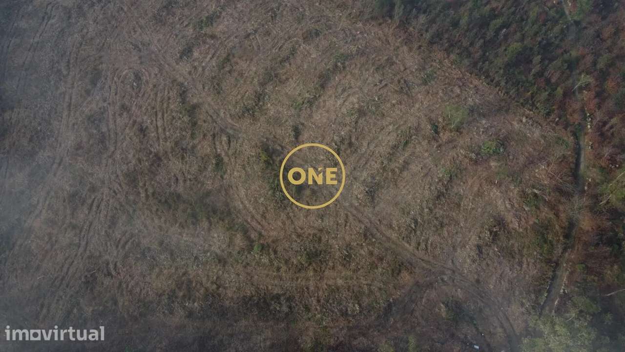 Terreno Rústico para Venda em Silveiros, Barcelos - Grande imagem: 5/7