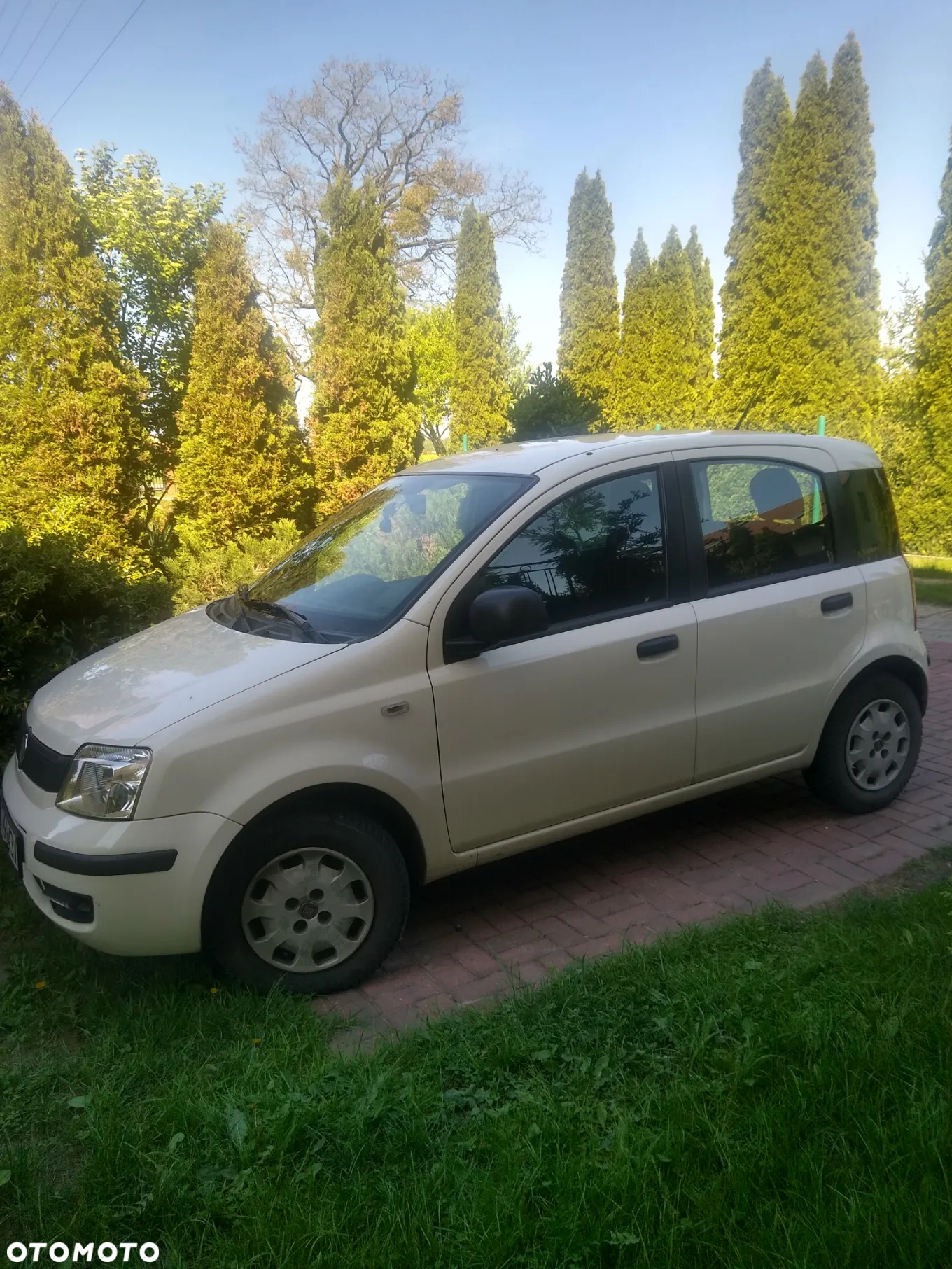 Fiat Panda 1.3 Multijet Actual - 5