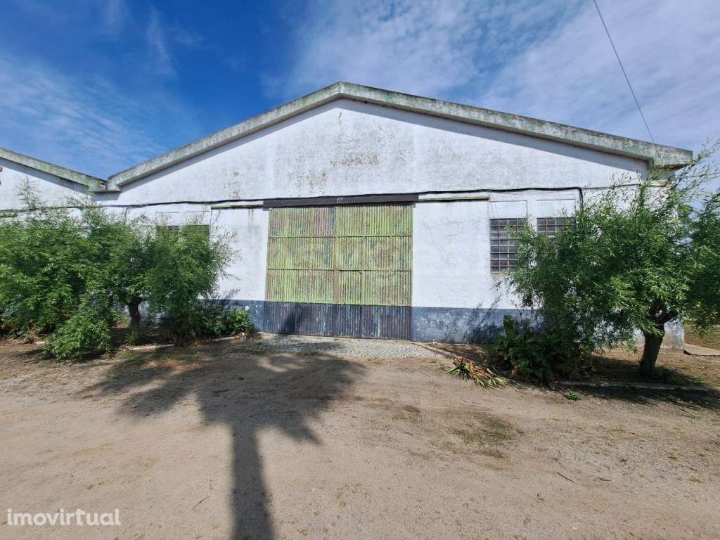 Armazém e Atividade Industrial em zona de Parque Industrial em Beja - Grande imagem: 2/41