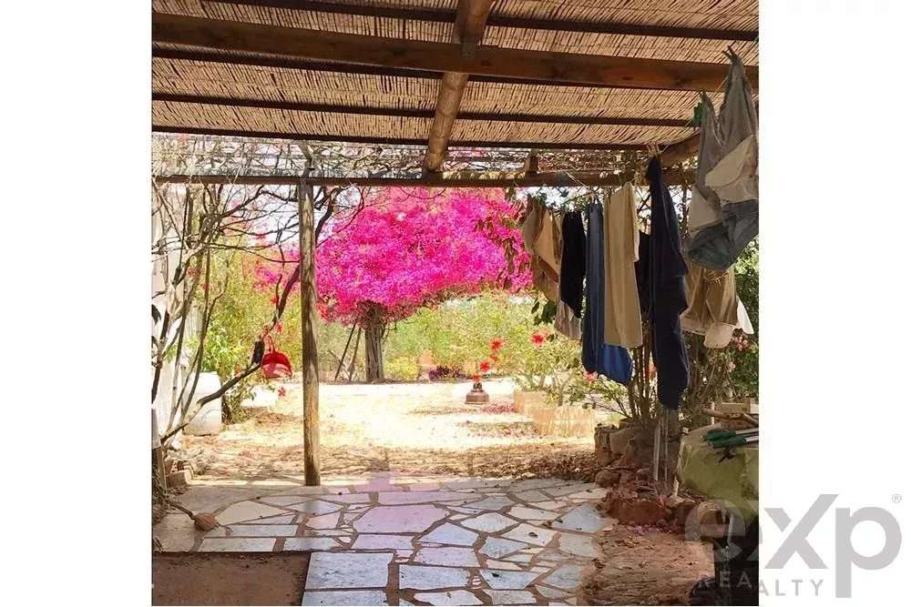 Vende-se Quinta em Santa Margarida - Grande imagem: 2/28