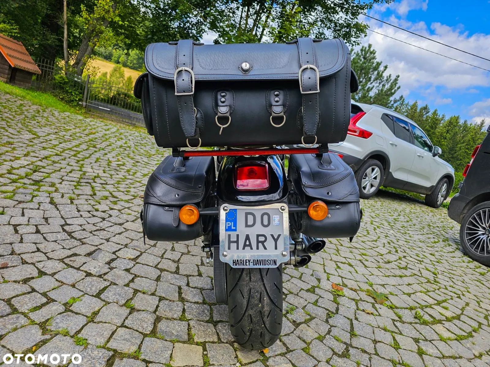 Harley-Davidson V-Rod Street Rod - 6
