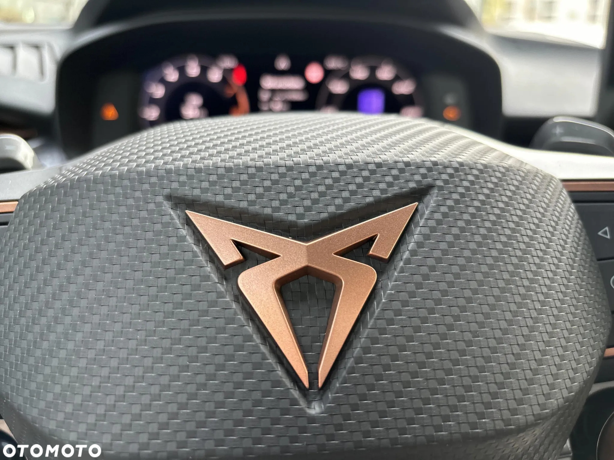 Cupra Terramar 2.0 TSI 4Drive DSG - 19