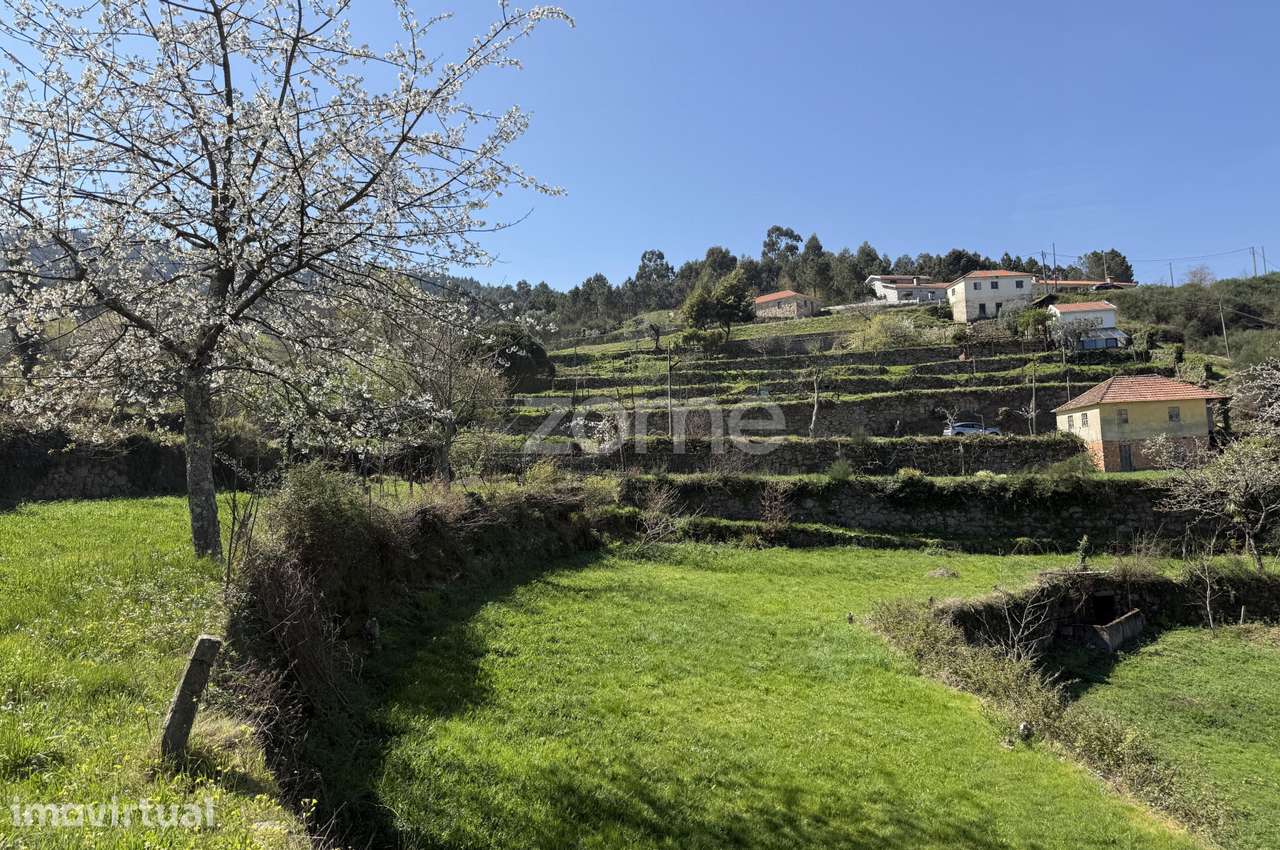 Terreno de 1ha com casa e ruína, centro de Cinfães.