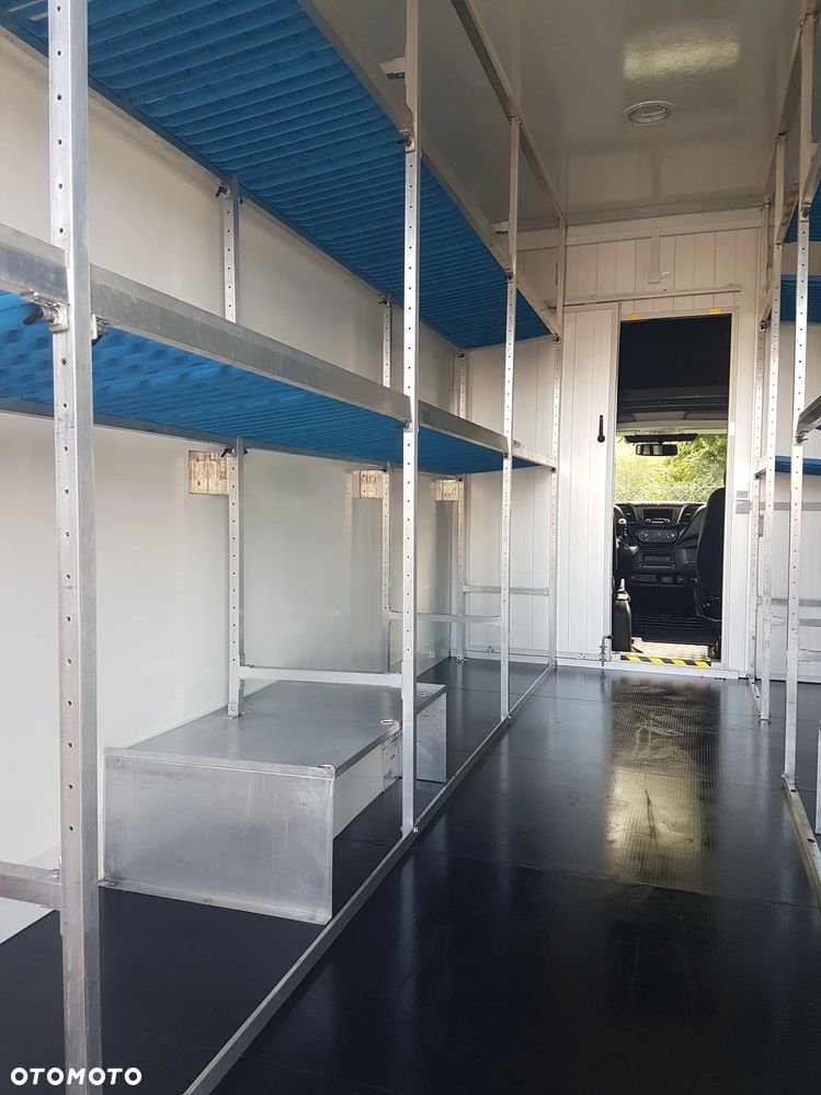 Iveco DAILY KONTENER NISKOPODŁOGOWY 4,43x2,23x2,42 SKLEP FOODTRUCK BAR KLIMA KONIOWÓZ KAMPER - 23