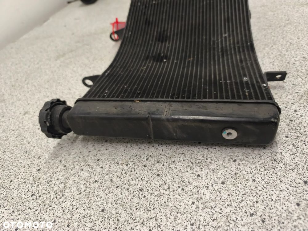 Chłodnica Triumph Street Triple 675 - 6