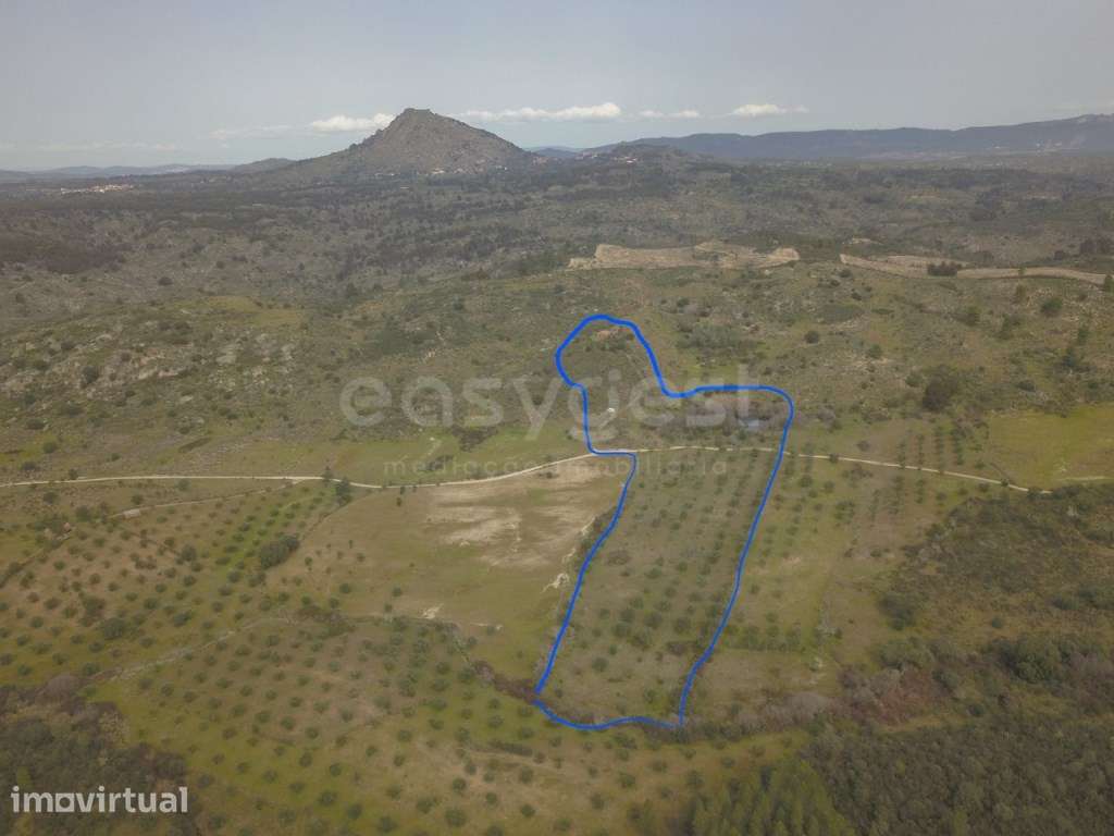 Herdade de 2,725 hectares junto a Monsanto e Idanha-a-Velha | Natur... - Grande imagem: 3/11