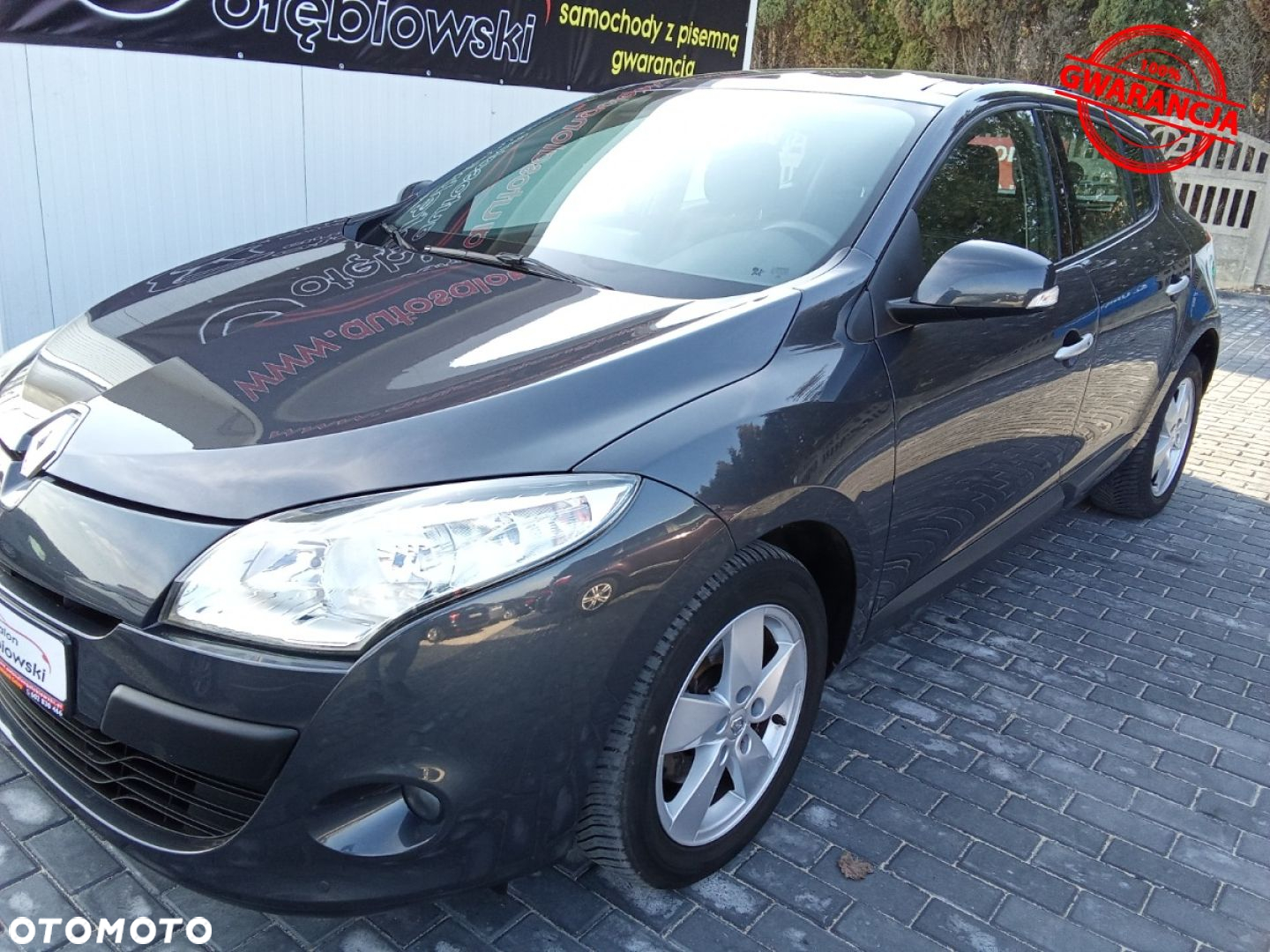 Renault Megane - 16