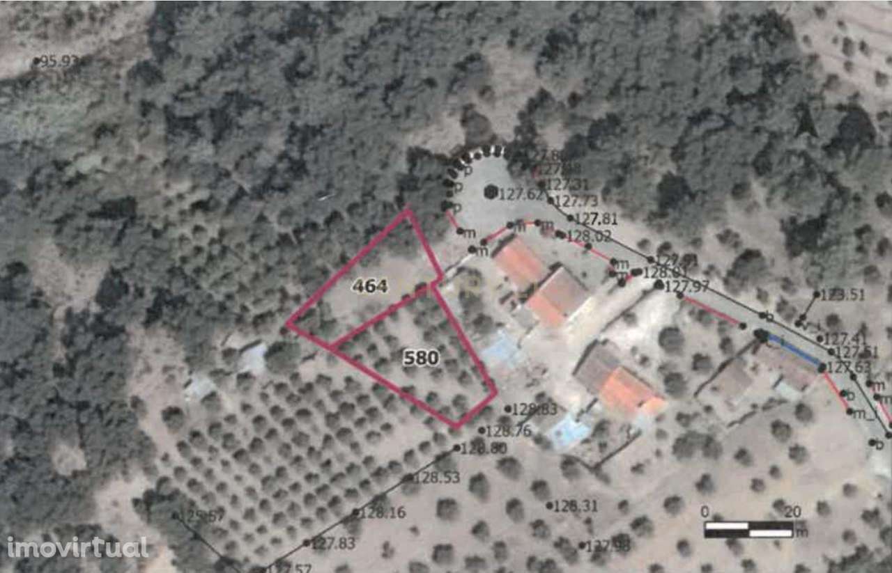 Dois Lotes com 6.024 m²  Vista Panorâmica sobre o Rio Tejo - Pinheiro - Grande imagem: 5/23