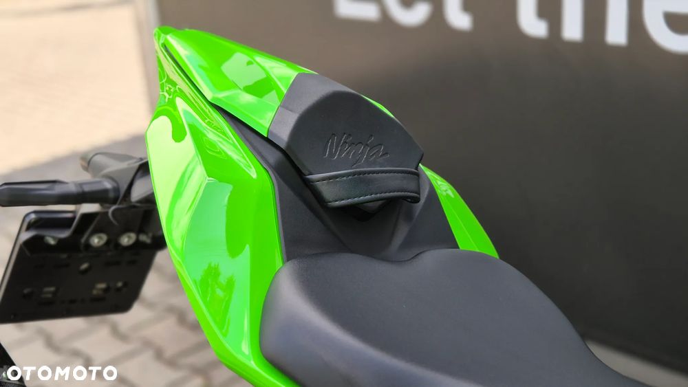 Kawasaki Ninja - 10