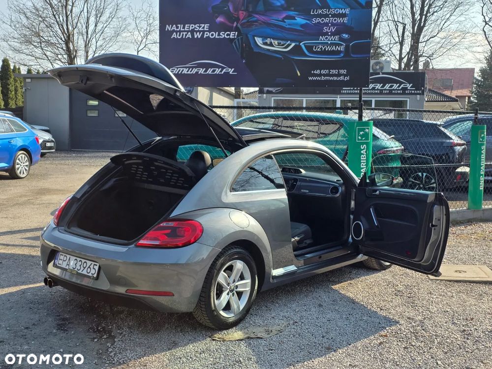 Volkswagen Beetle - 9