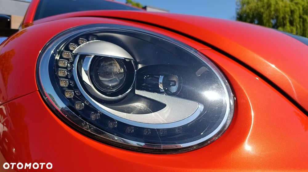 Volkswagen Beetle - 10