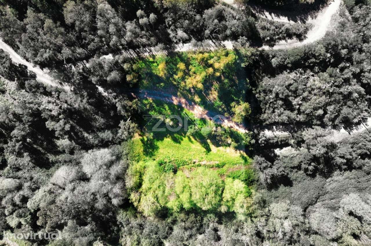 Terreno Rústico com 2000m2 - Monchique - Grande imagem: 5/33