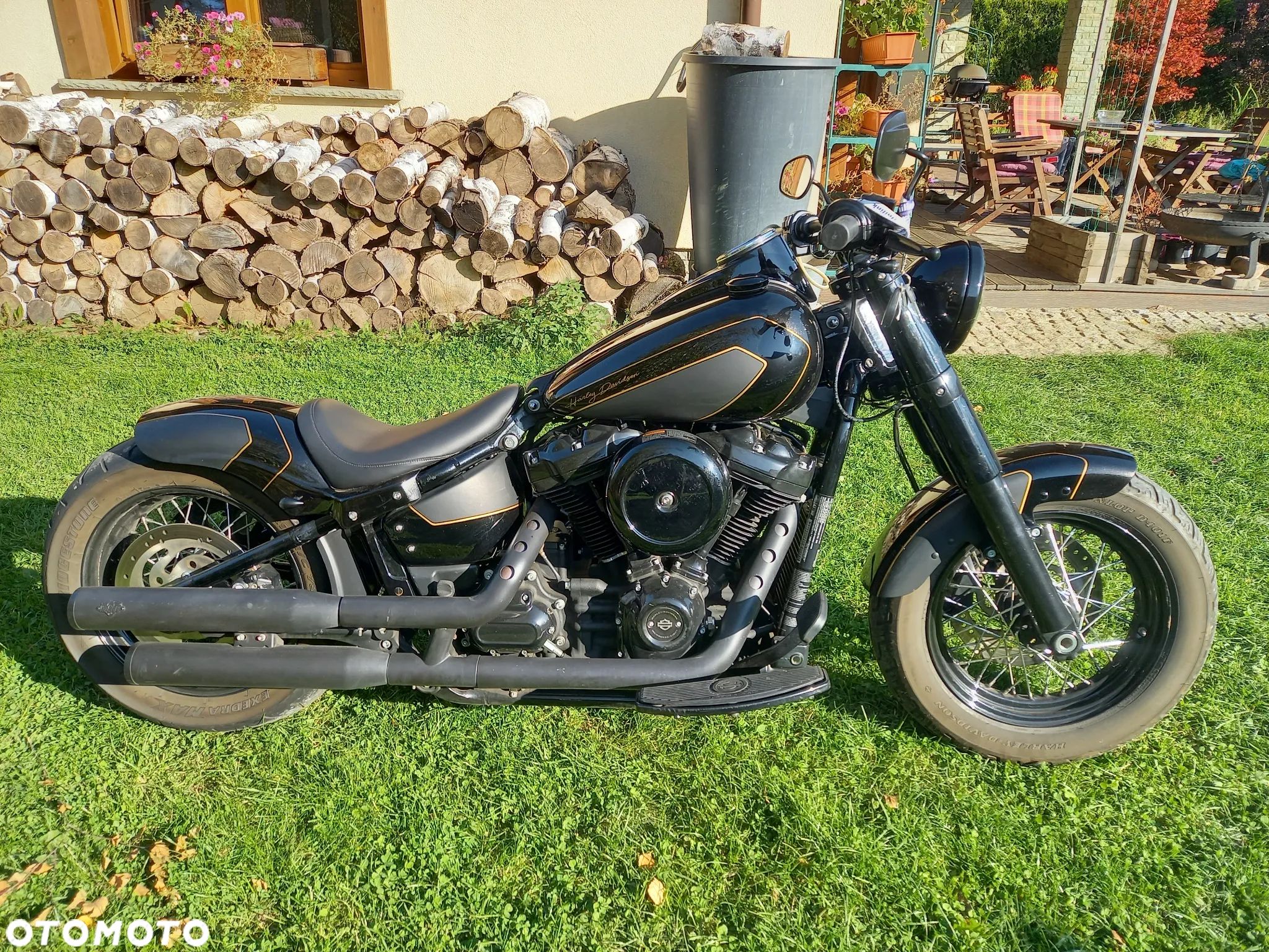 Harley-Davidson Softail Slim - 1