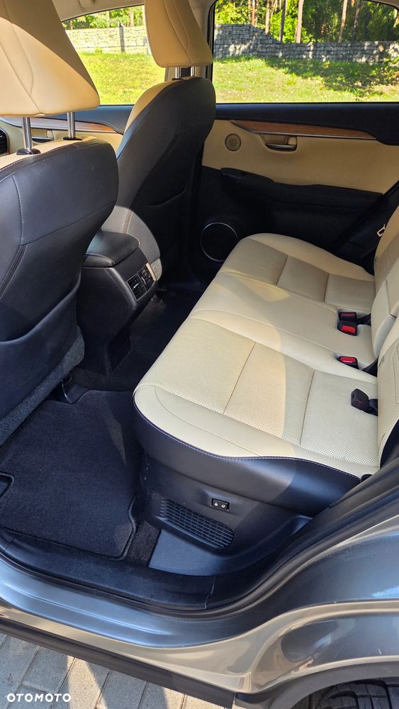 Lexus NX - 24