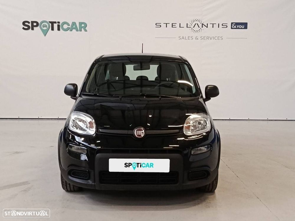 Fiat Panda - 2