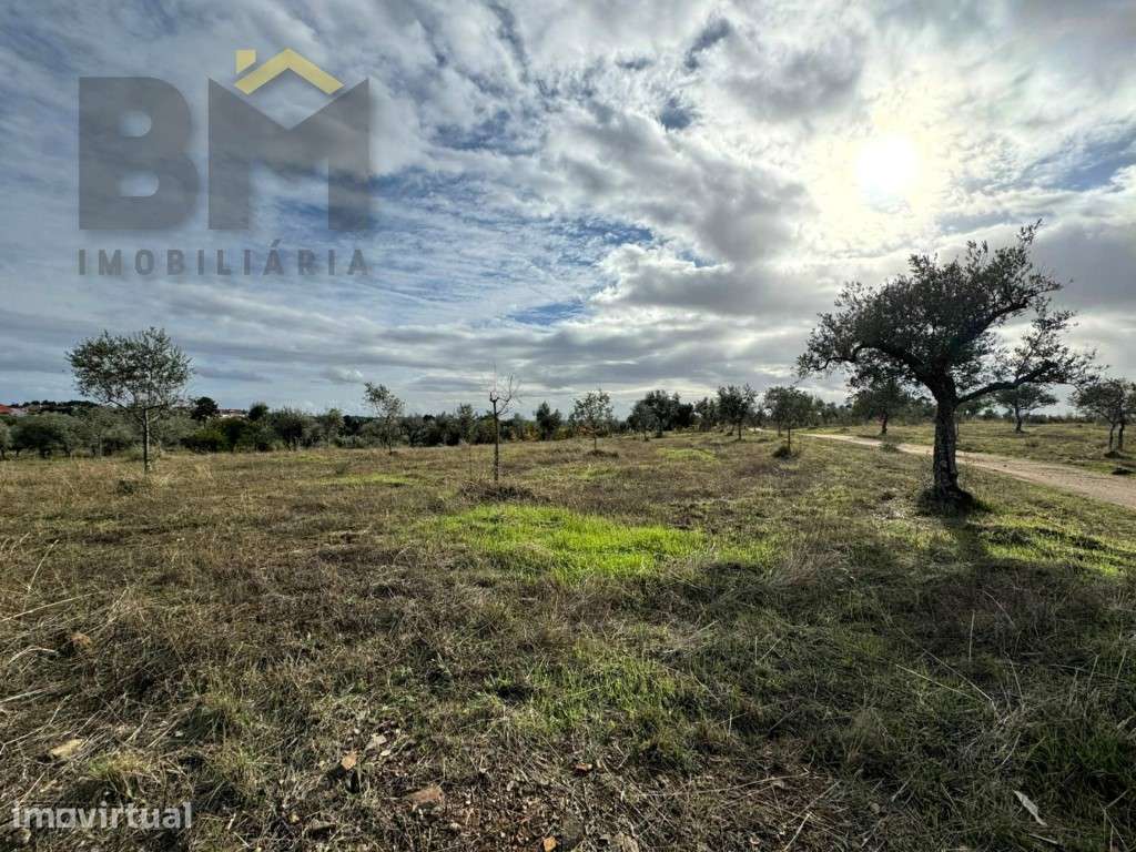 Terreno rustico com 5.000m2 para venda no Ninho do Açor! - Grande imagem: 3/8