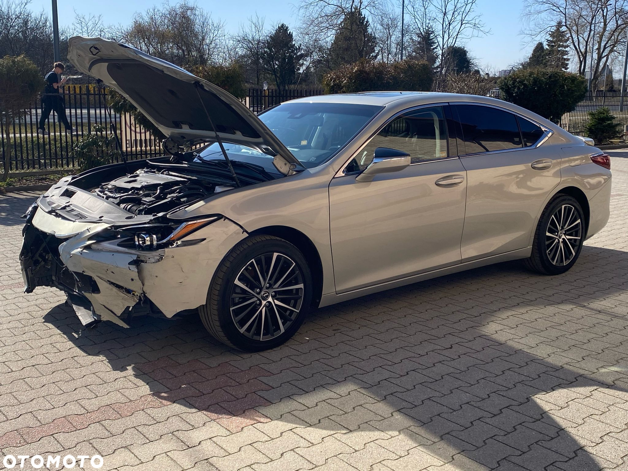 Lexus ES 300h Elegance - 10