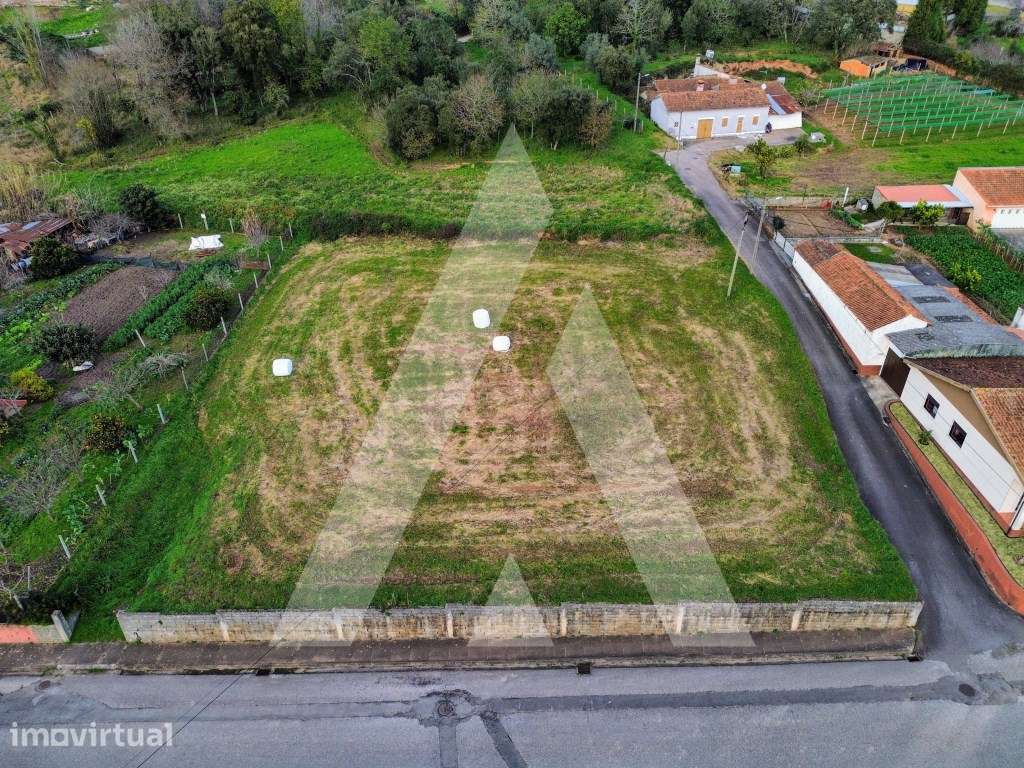 Terreno para Construção em São João de Loure - Grande imagem: 2/17