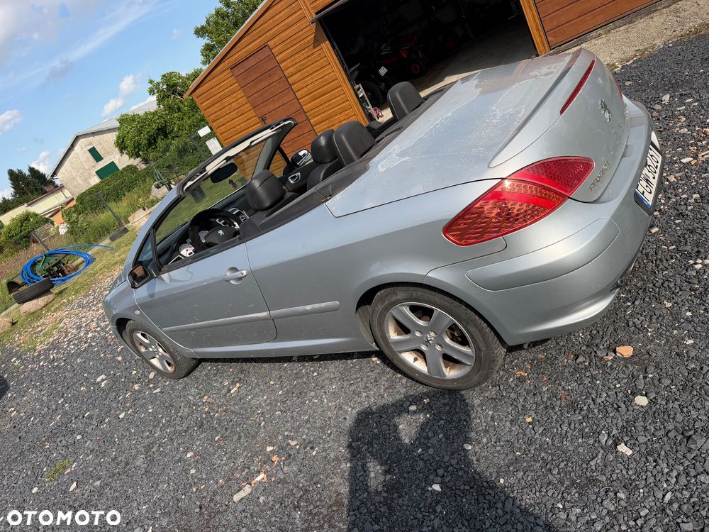 Peugeot 307 CC - 3