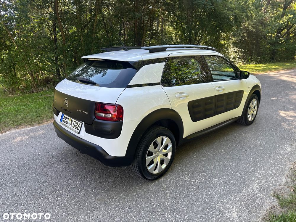 Citroën C4 Cactus PureTech 82 Shine Edition - 24