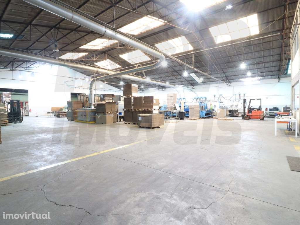 Armazém Venda - Salvaterra de Magos - 1189.20 m2 - 320.000€ - Grande imagem: 3/4