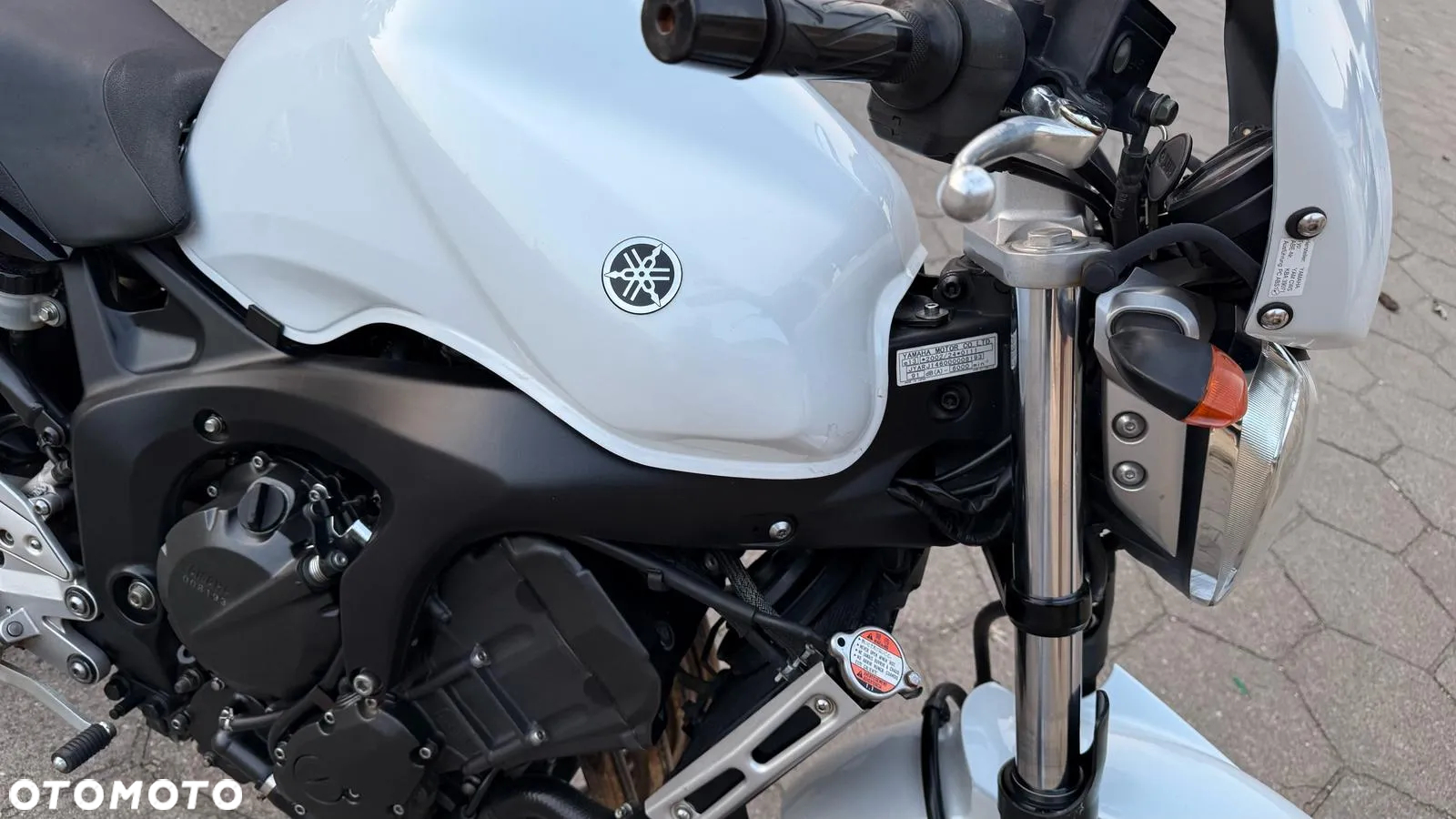 Yamaha FZ6 - 20
