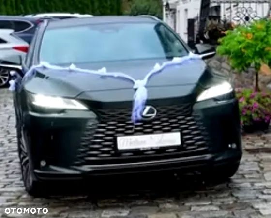 Lexus RX 300 Business Edition + - 1