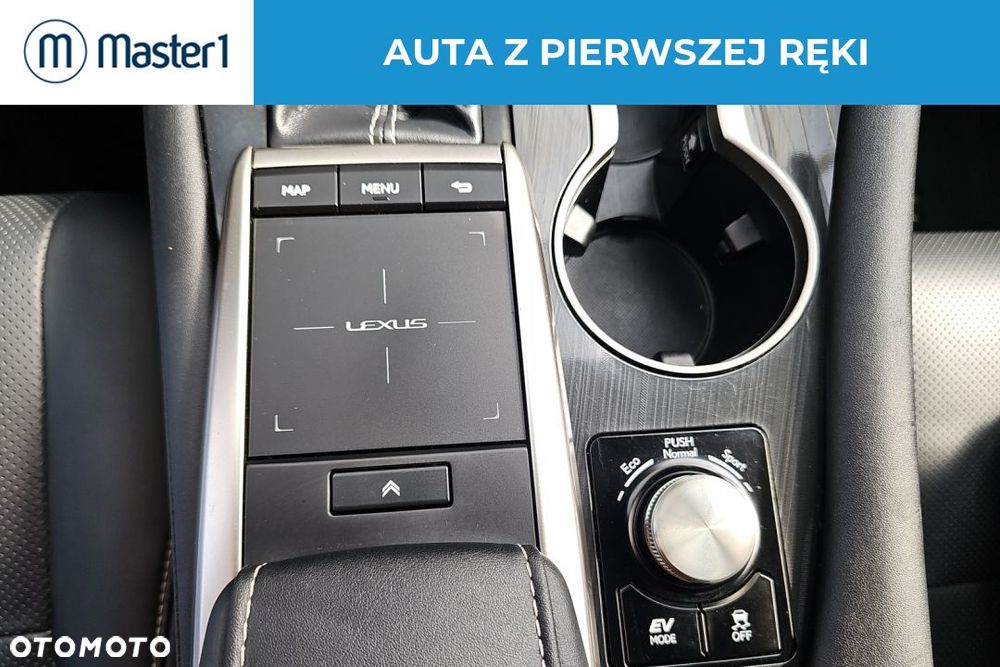 Lexus RX 450h F-Impression - 14