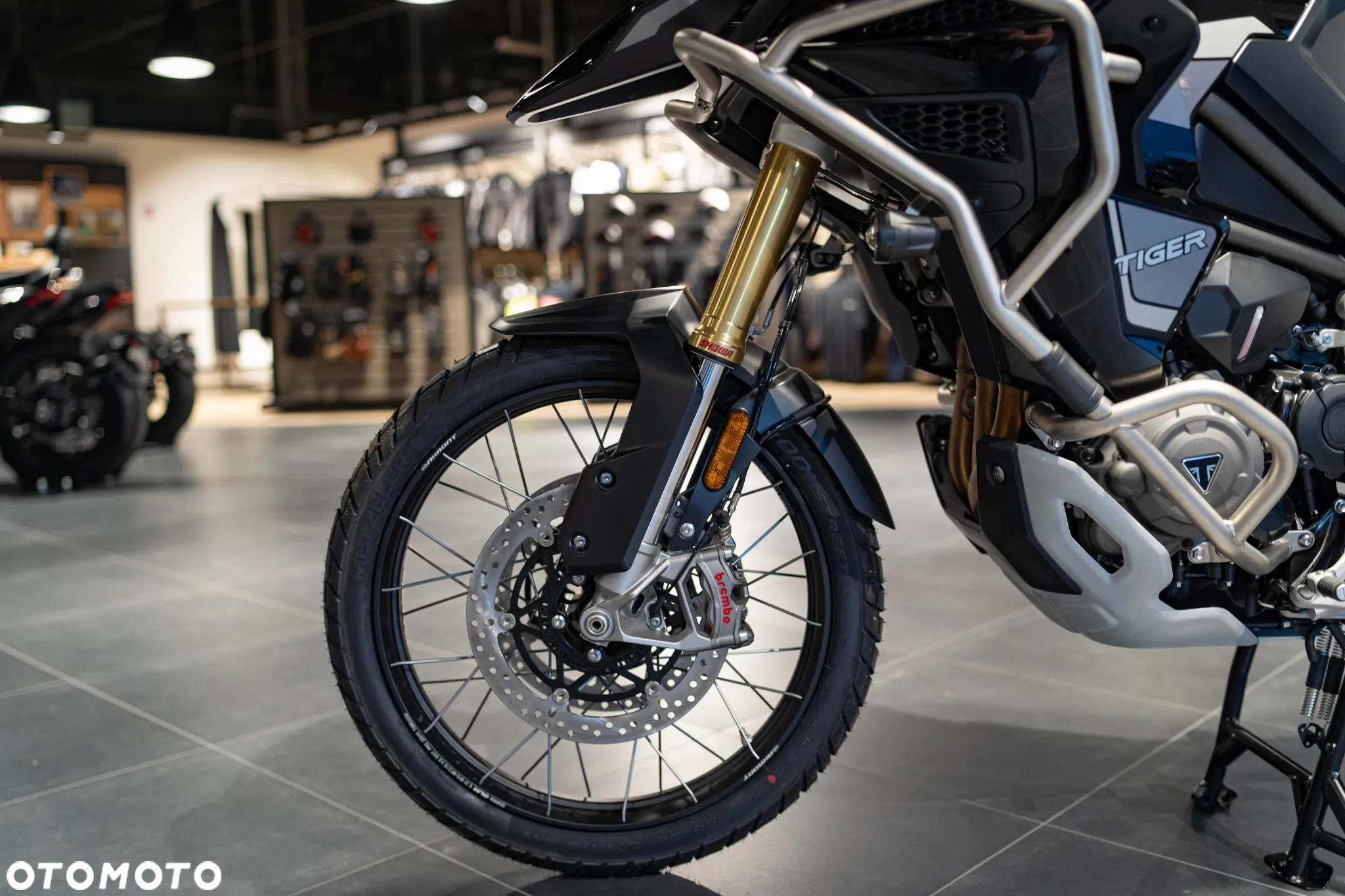 Triumph Tiger - 23