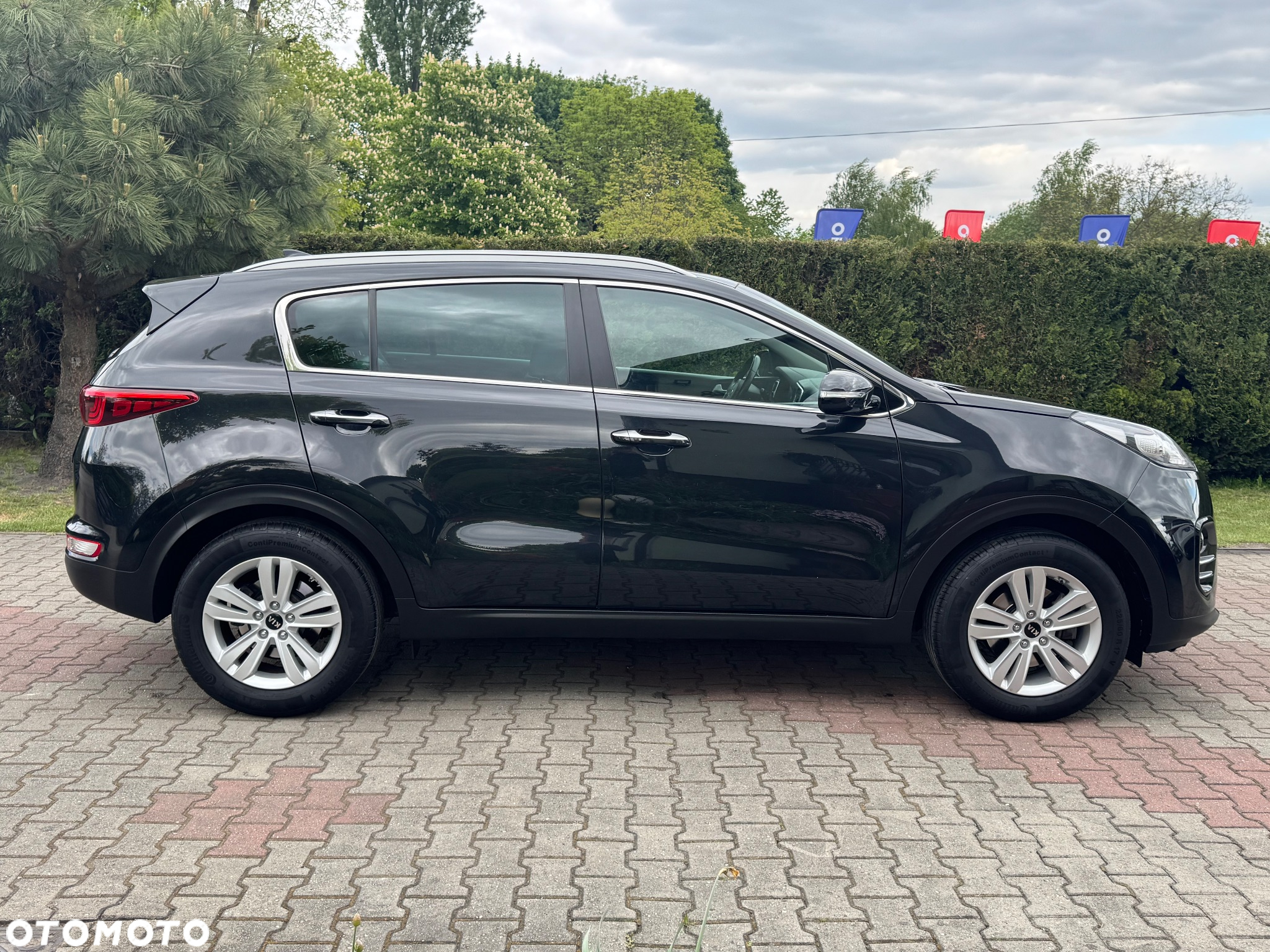 Kia Sportage 1.6 GDI Black Edition 2WD - 6