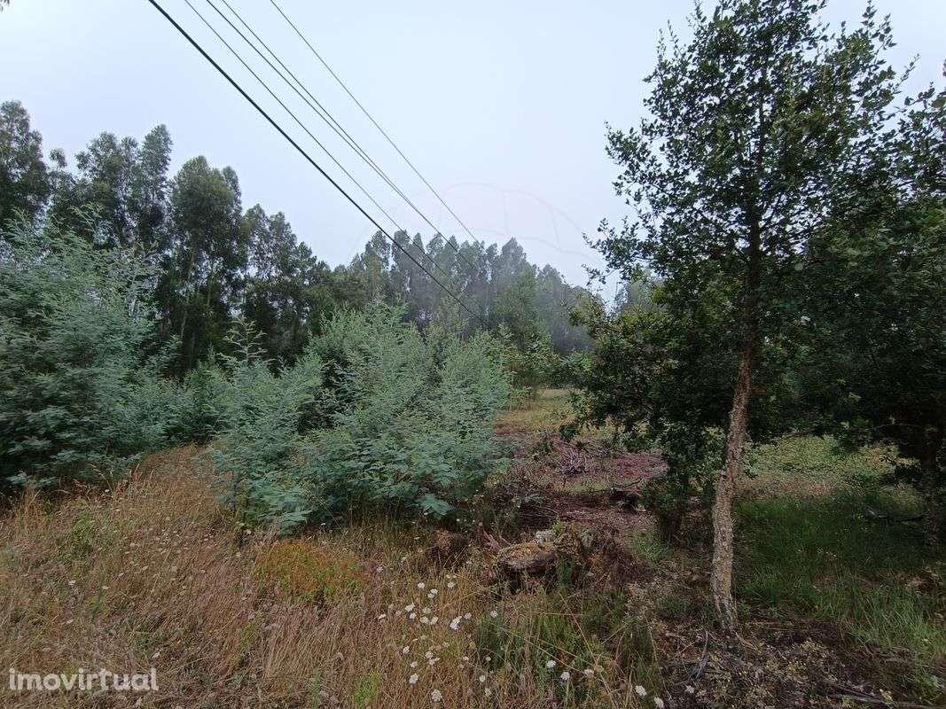 Terreno  para venda - Grande imagem: 4/11