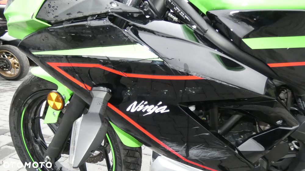 Kawasaki Ninja - 14