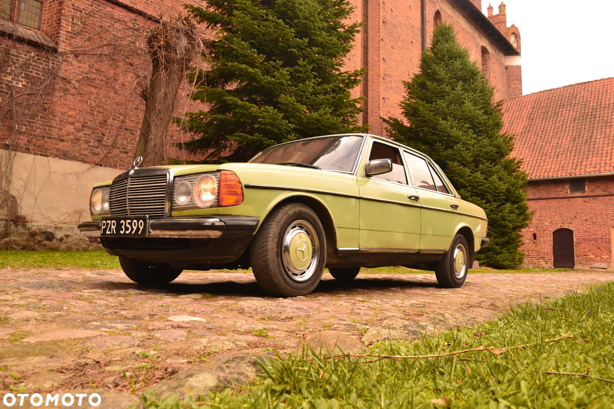 Mercedes-Benz W123 - 13