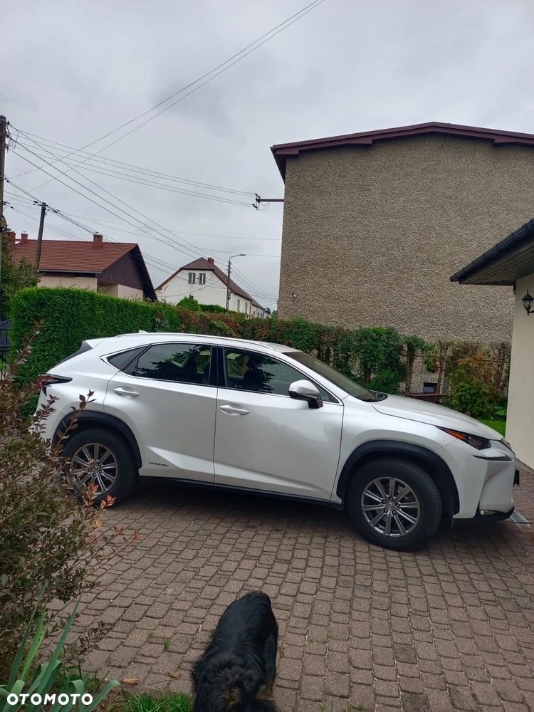 Lexus NX 300h - 2
