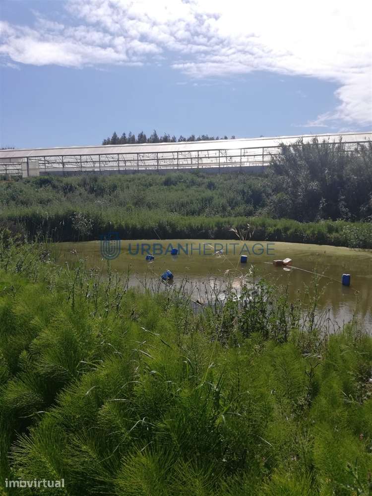Lote de Terreno  Venda em A dos Cunhados e Maceira,Torres Vedras - Grande imagem: 5/6