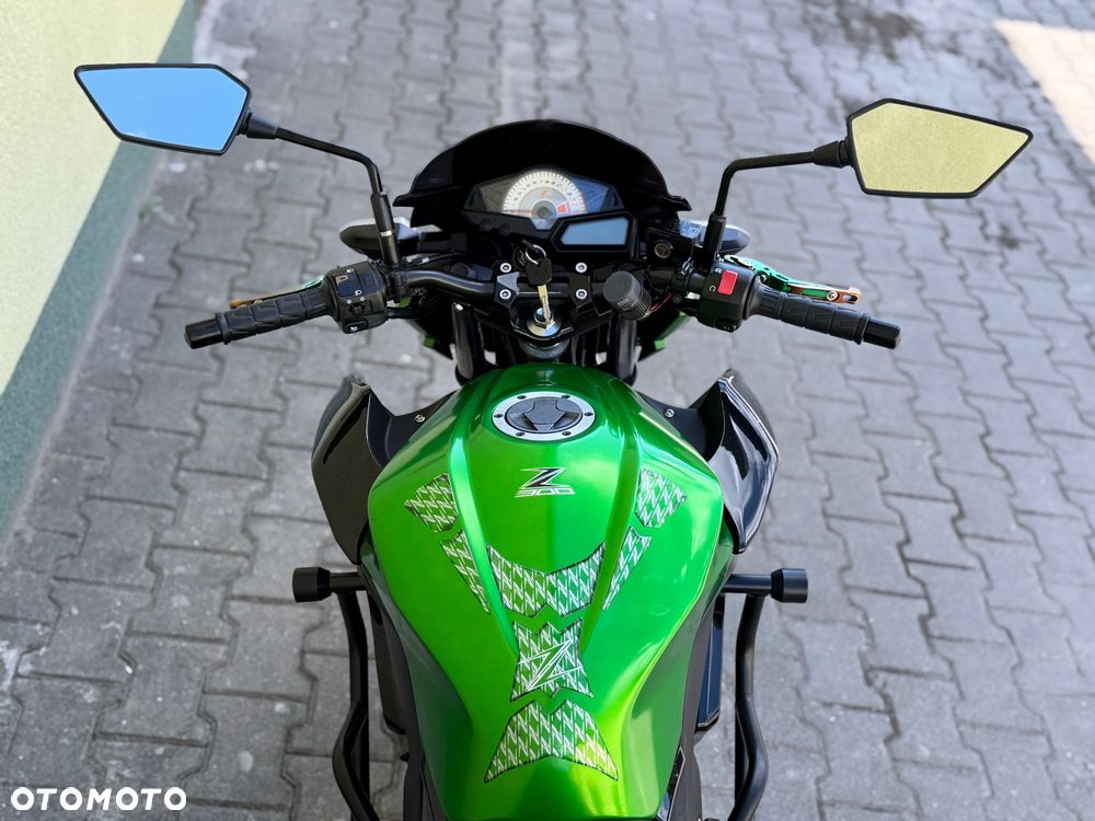 Kawasaki Z - 18