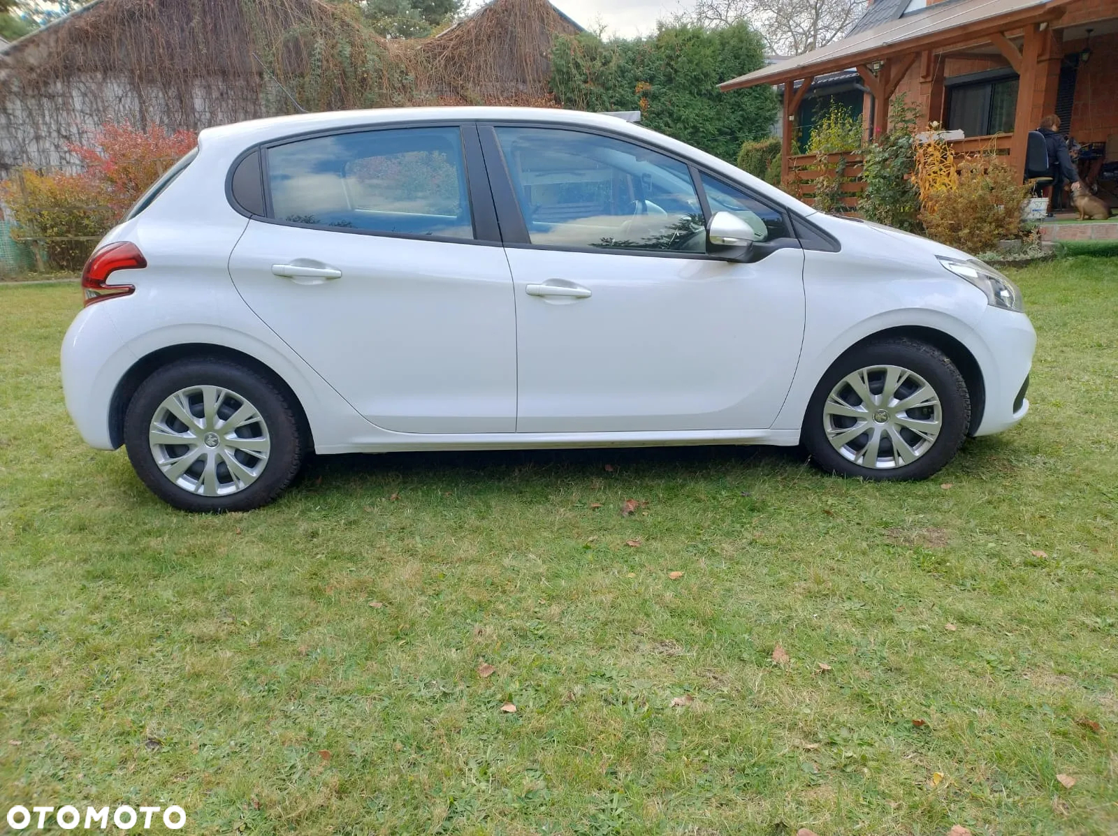 Renault Clio - 15