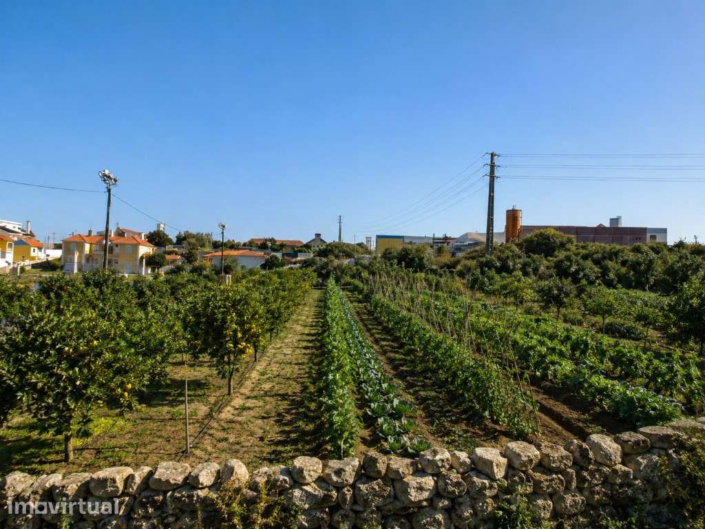 Terreno Rústico com 3.360 m² em Lameiras - Sintra - Grande imagem: 2/12