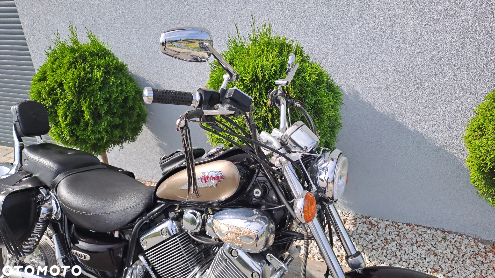 Yamaha Virago - 7