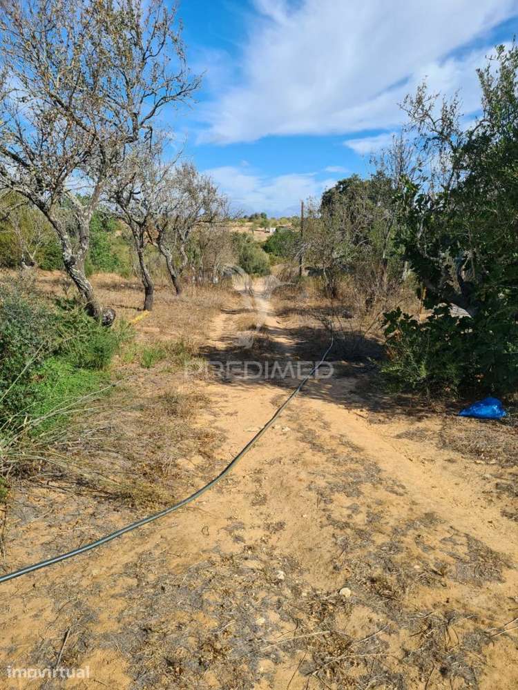 Terreno Misto com 7,5 hectares  em Albufeira - Grande imagem: 5/8