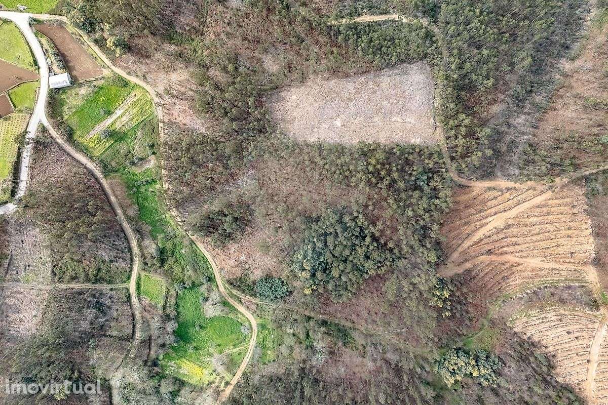 Terreno  para venda - Grande imagem: 5/9