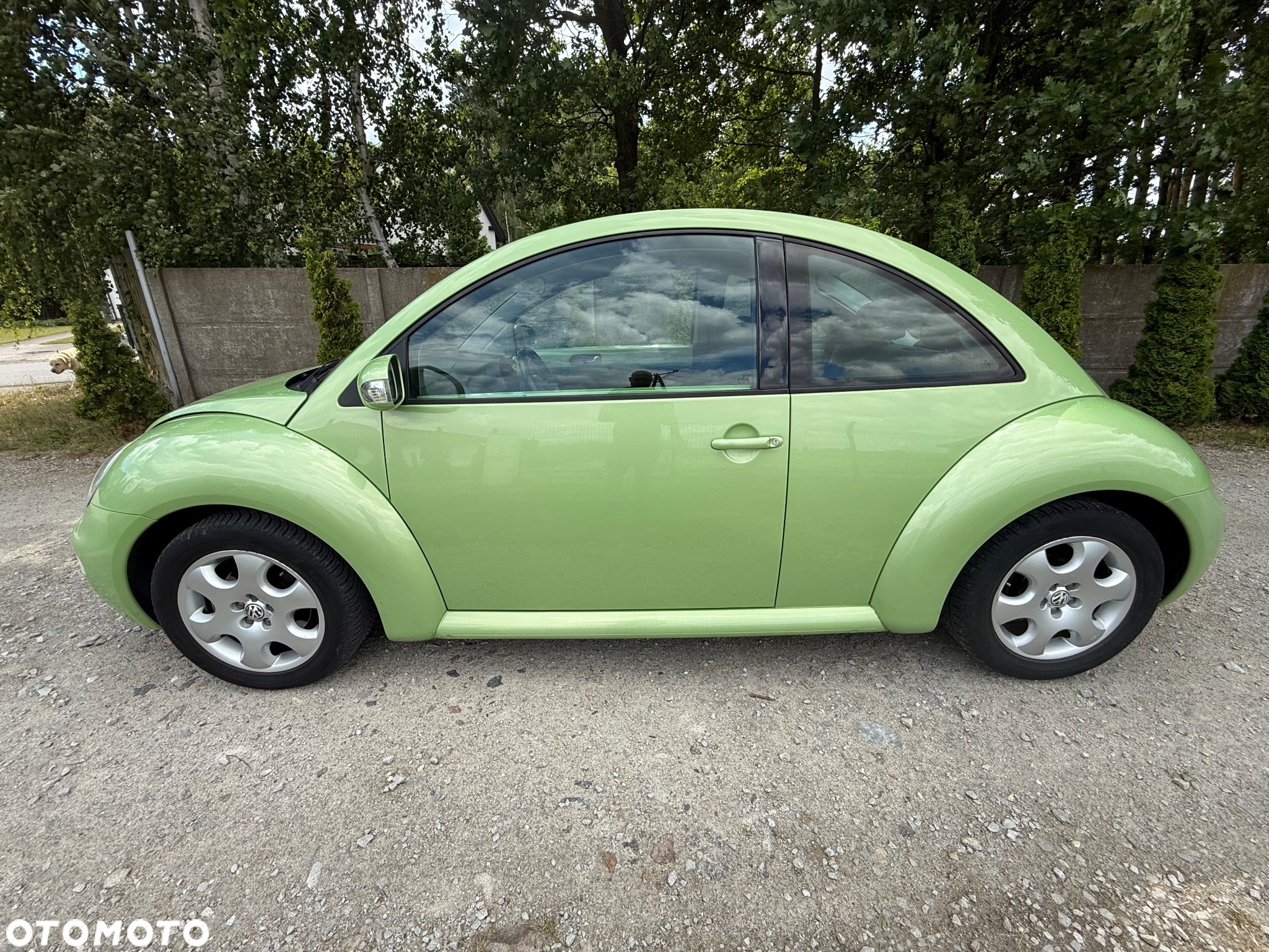 Volkswagen New Beetle 1.6 - 2