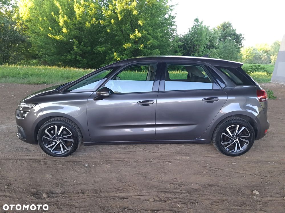 Citroën C4 SpaceTourer 1.5 BlueHDi Shine S&S EAT8 - 13