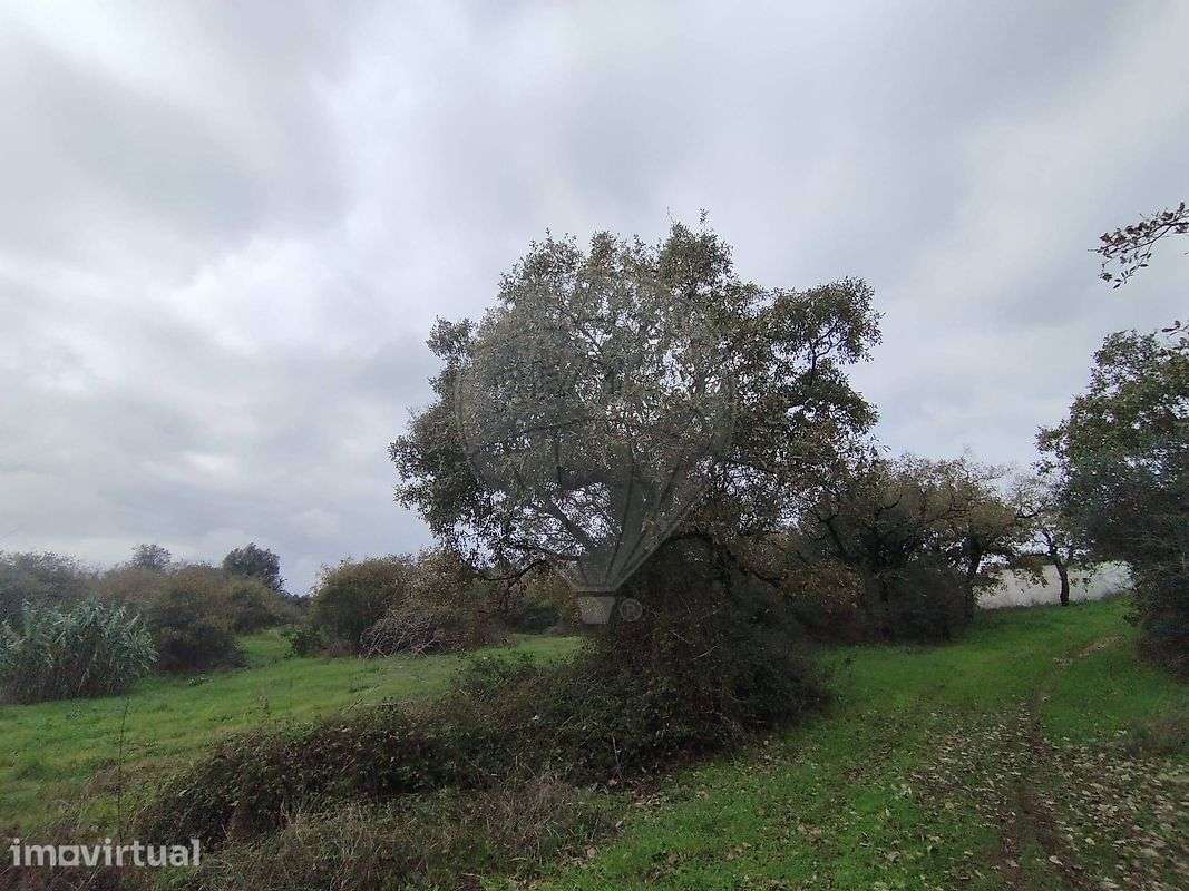 Terreno  para venda - Grande imagem: 3/12