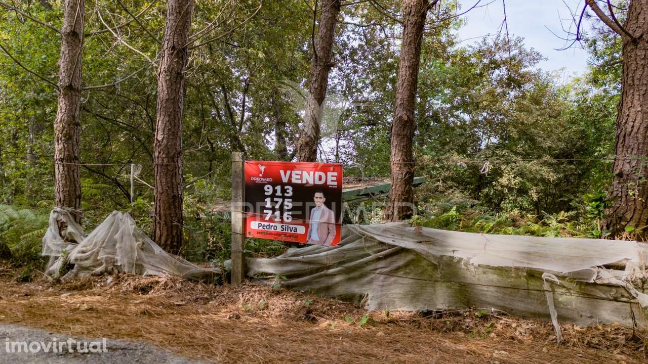 Terreno na Lage - Grande imagem: 2/31