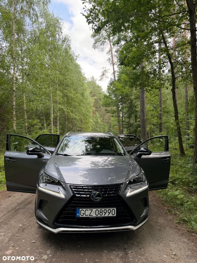 Lexus NX 300 Prestige AWD - 11